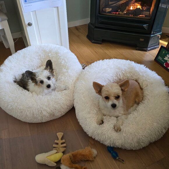 @sonyadas1100 Rebundle - Picture 1 of 1